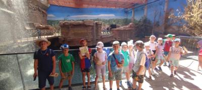 IMG-20250701-WA0013.jpg