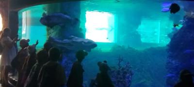 IMG-20250701-WA0016.jpg