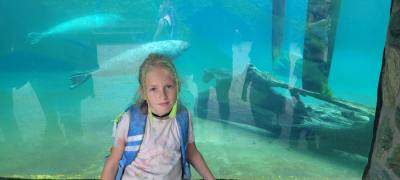 IMG-20250715-WA0006.jpg