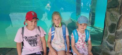 IMG-20250715-WA0007.jpg