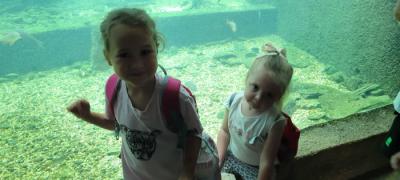 IMG-20250715-WA0008.jpg