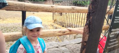 IMG-20250715-WA0010.jpg